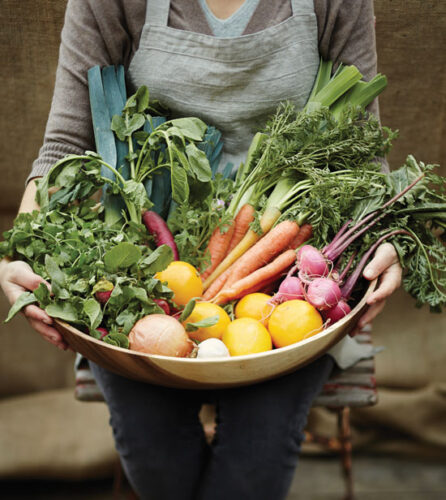 Preserving Fruits and Vegetables for Winter